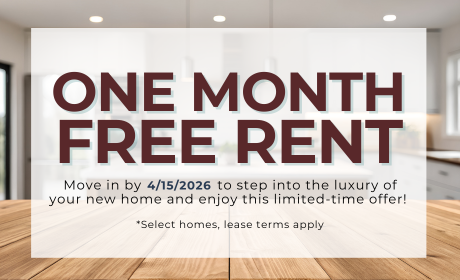 image for /shared/images/tyger-pointe-popup-1qhdomea.png