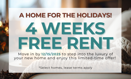 image for /shared/images/tyger-pointe-popup-5z1t4szv.png